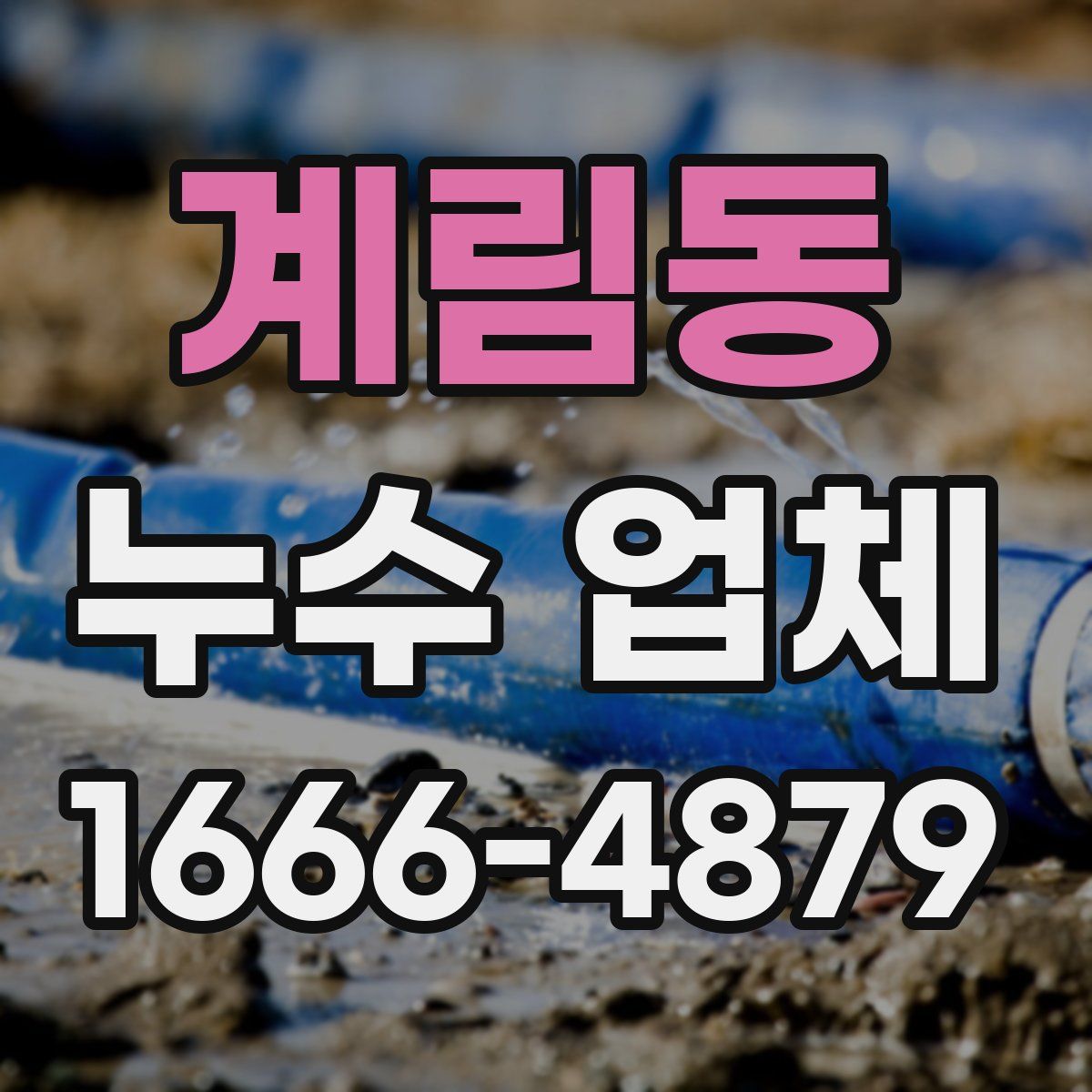 계림동 누수 업체