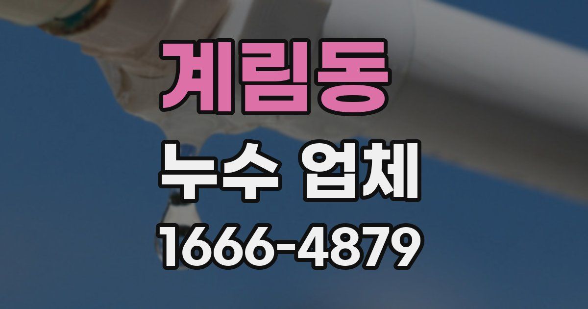 계림동 누수 업체