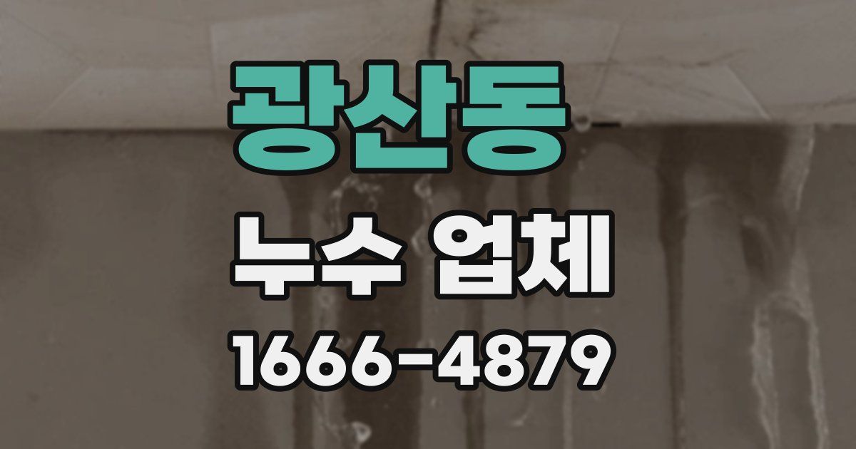 광산동 누수 업체