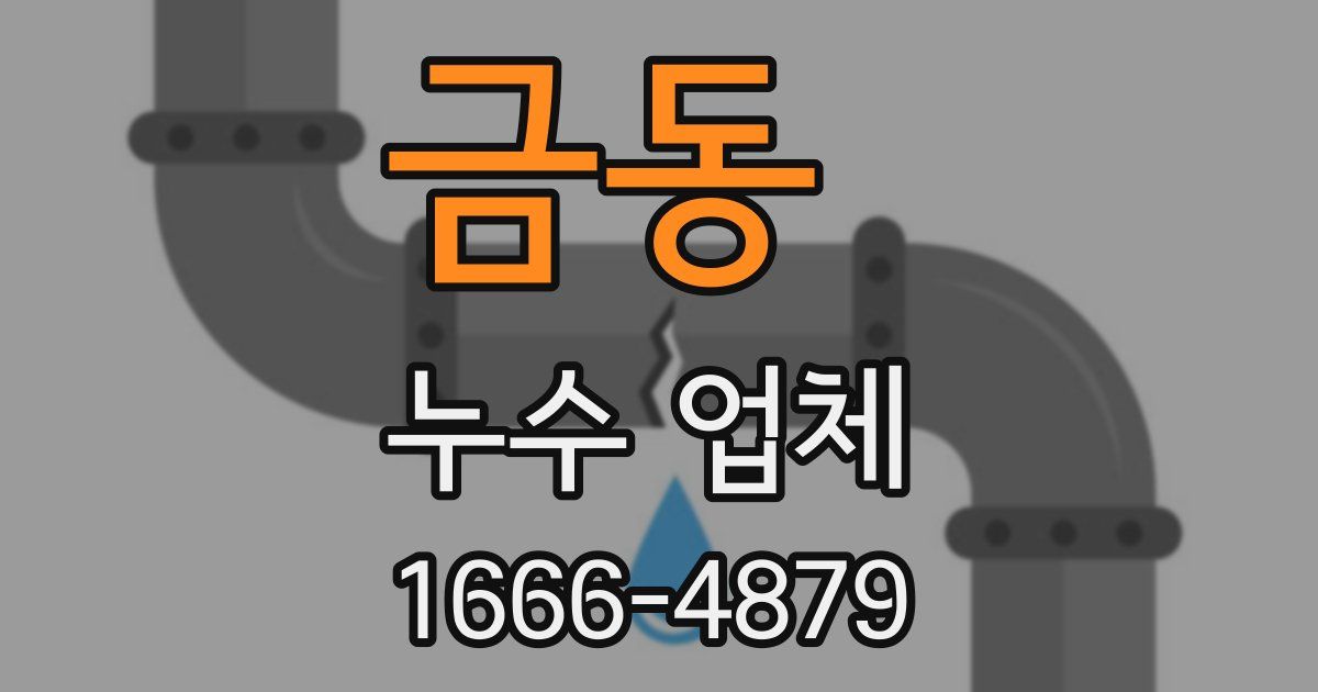 금동 누수 업체