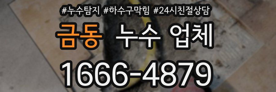 금동 누수 업체