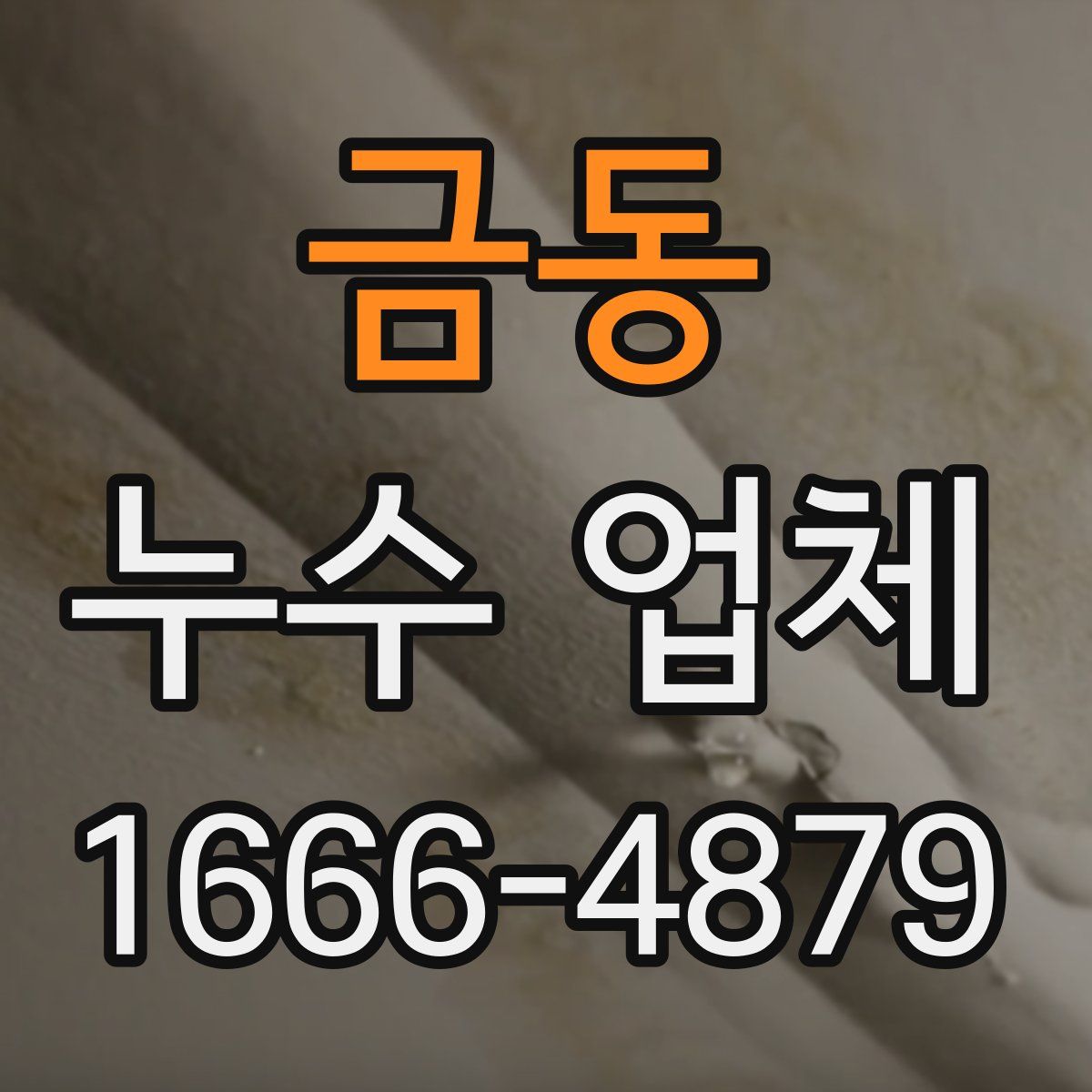 금동 누수 업체