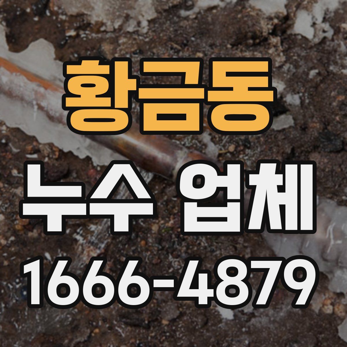 황금동 누수 업체