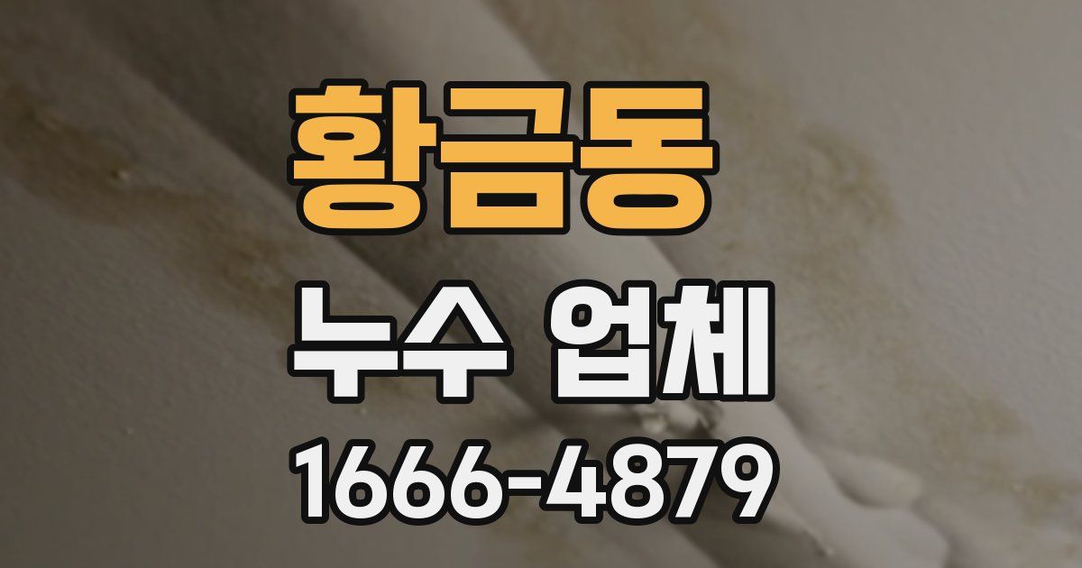 황금동 누수 업체