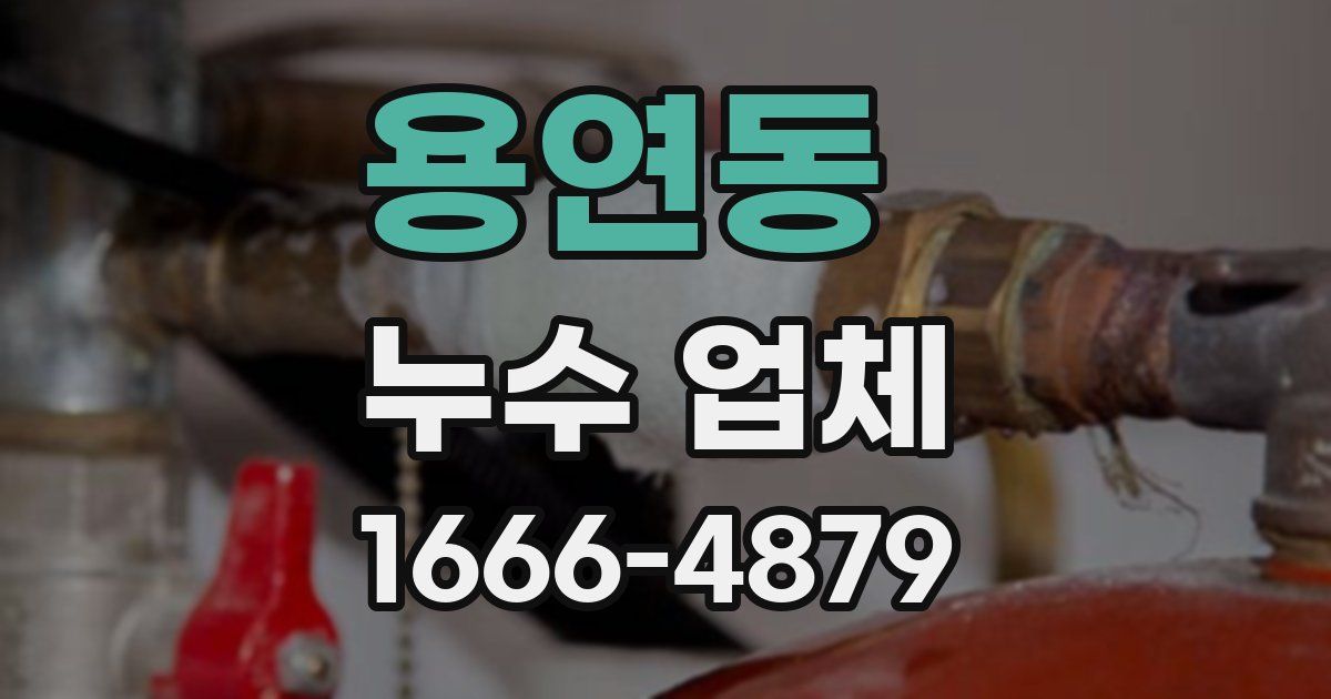 용연동 누수 업체