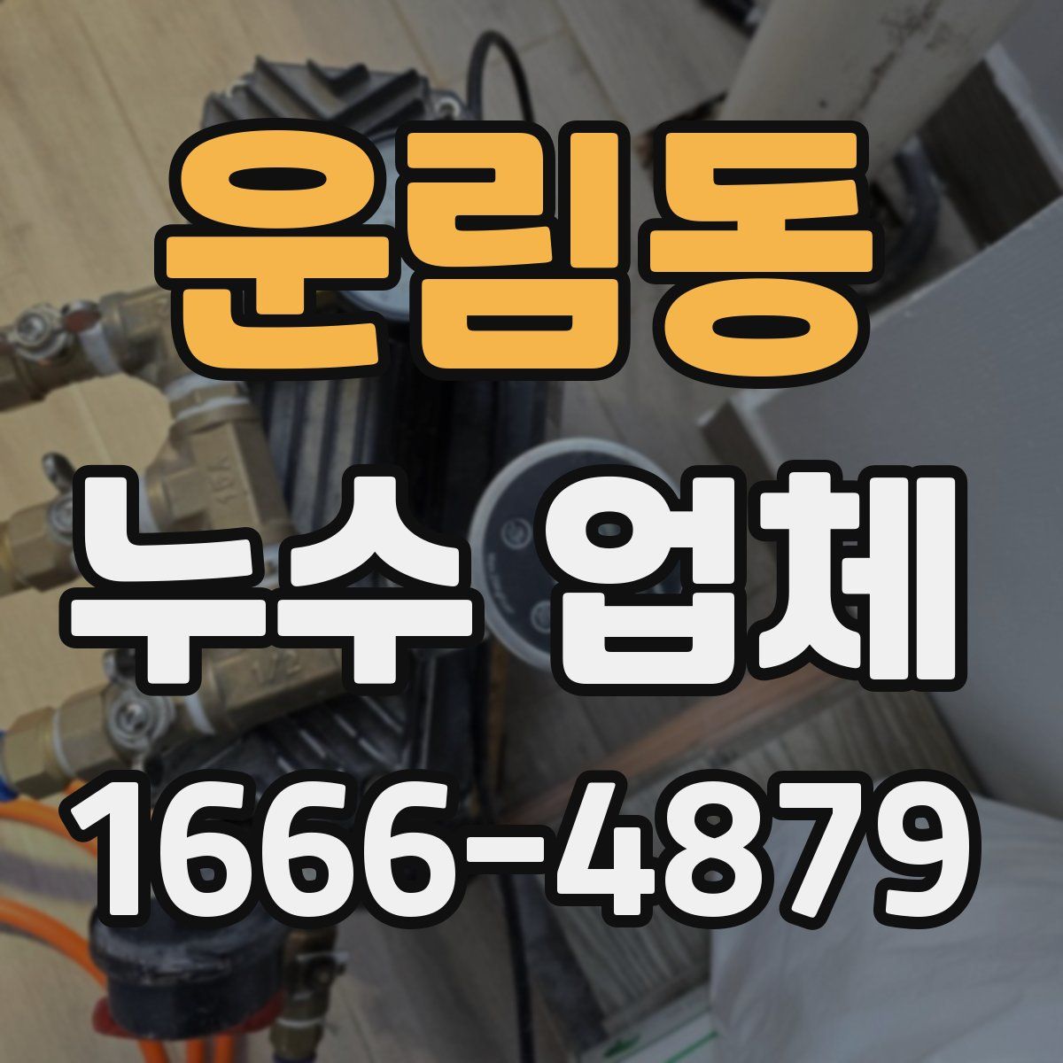 운림동 누수 업체