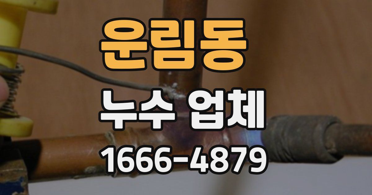 운림동 누수 업체