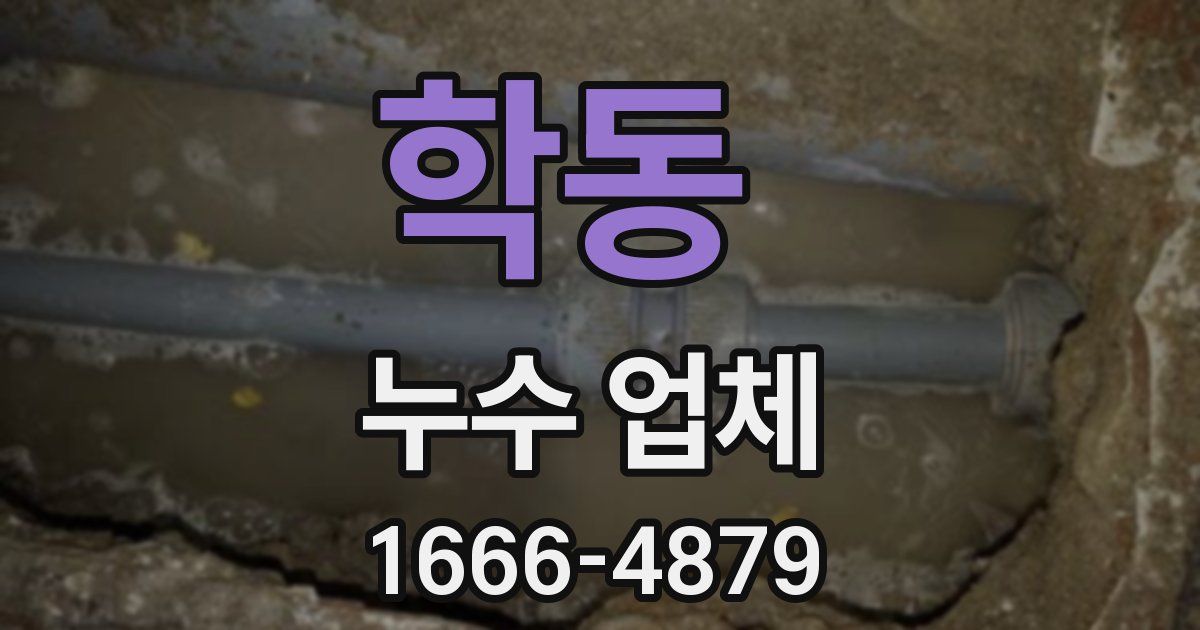 학동 누수 업체