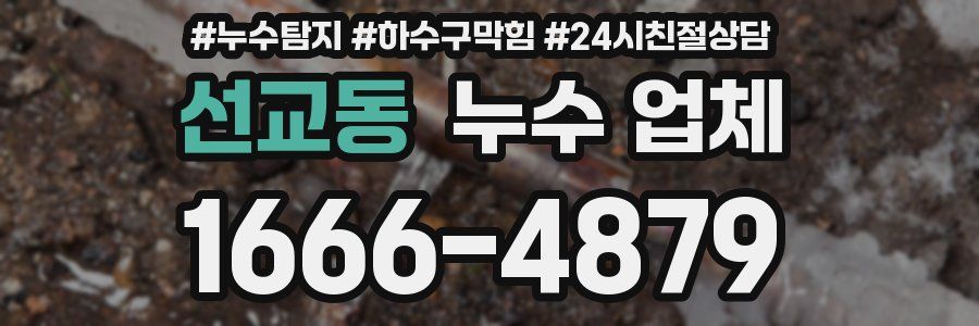 선교동 누수 업체