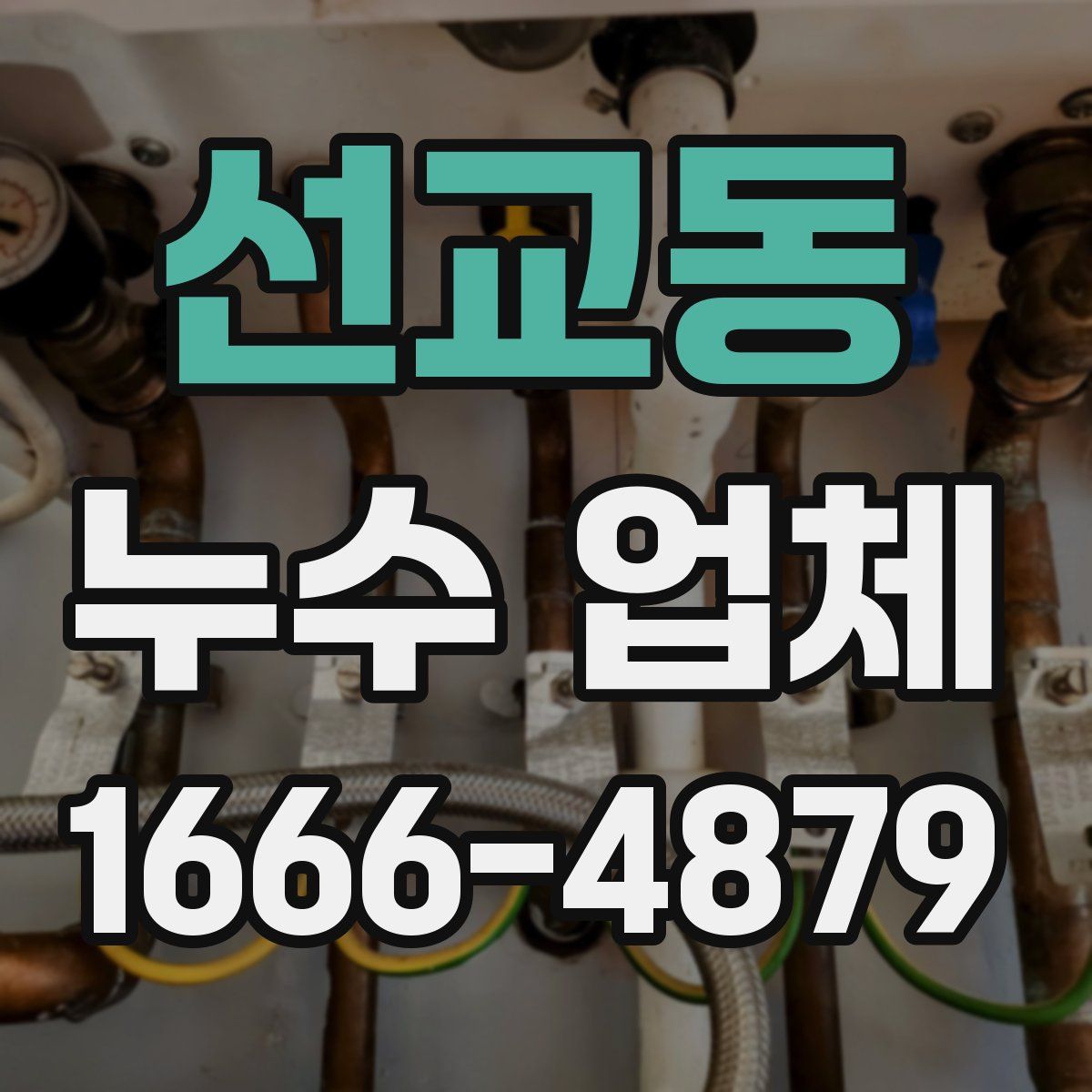 선교동 누수 업체