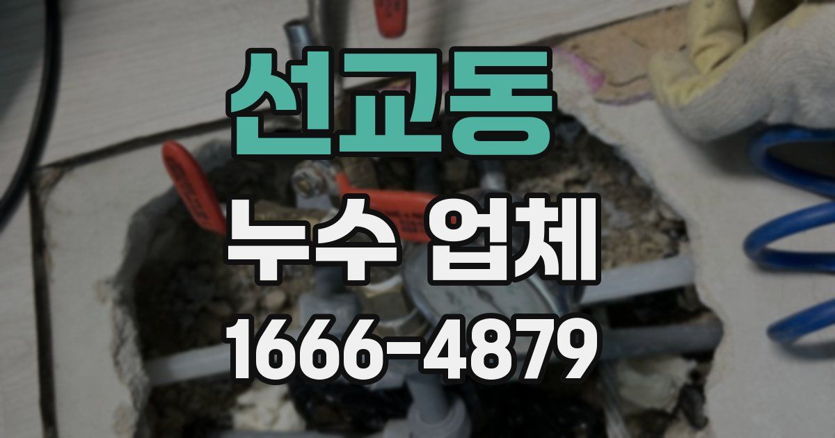선교동 누수 업체