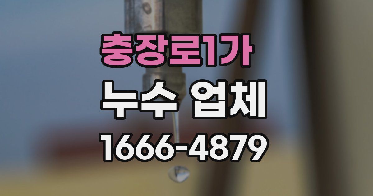 충장로1가 누수 업체