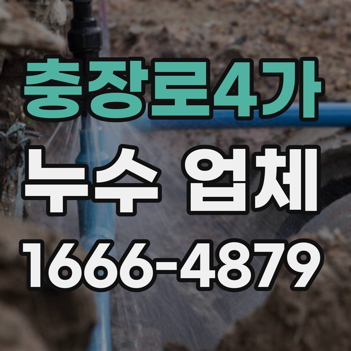 충장로4가 누수 업체