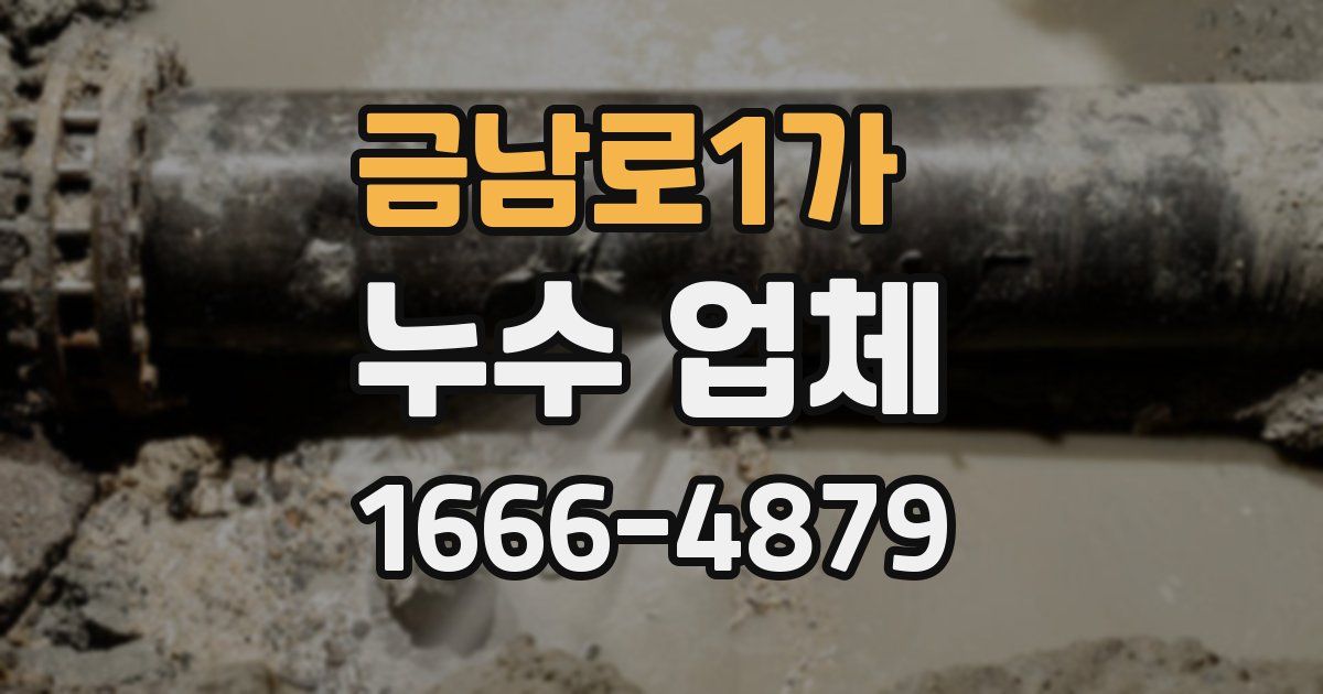 금남로1가 누수 업체