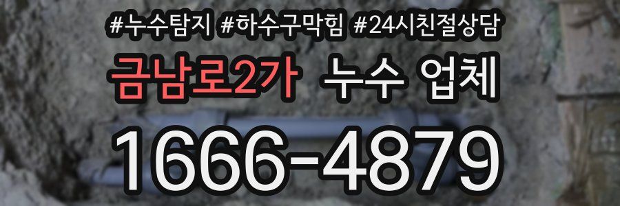 금남로2가 누수 업체
