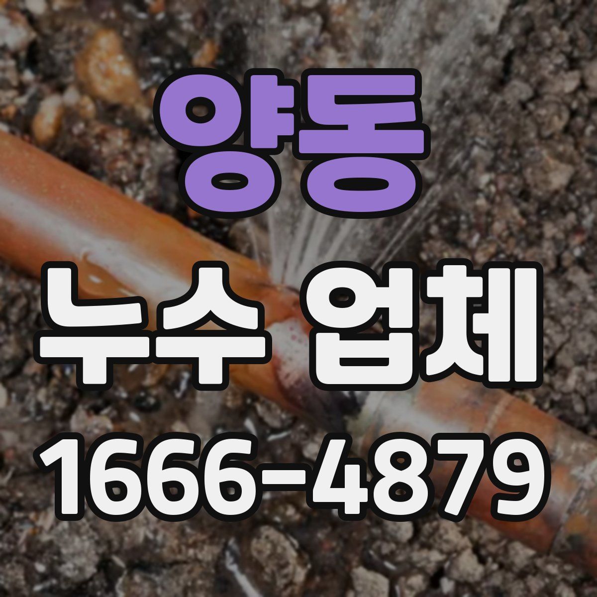 양동 누수 업체