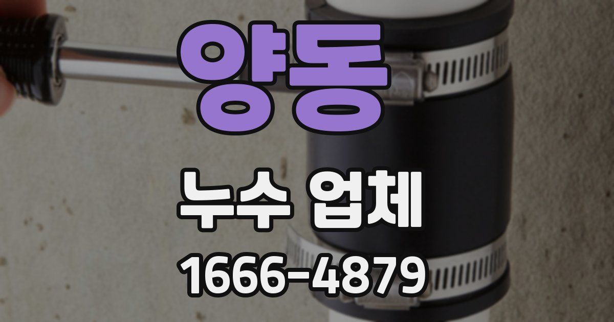 양동 누수 업체