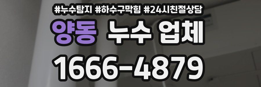 양동 누수 업체
