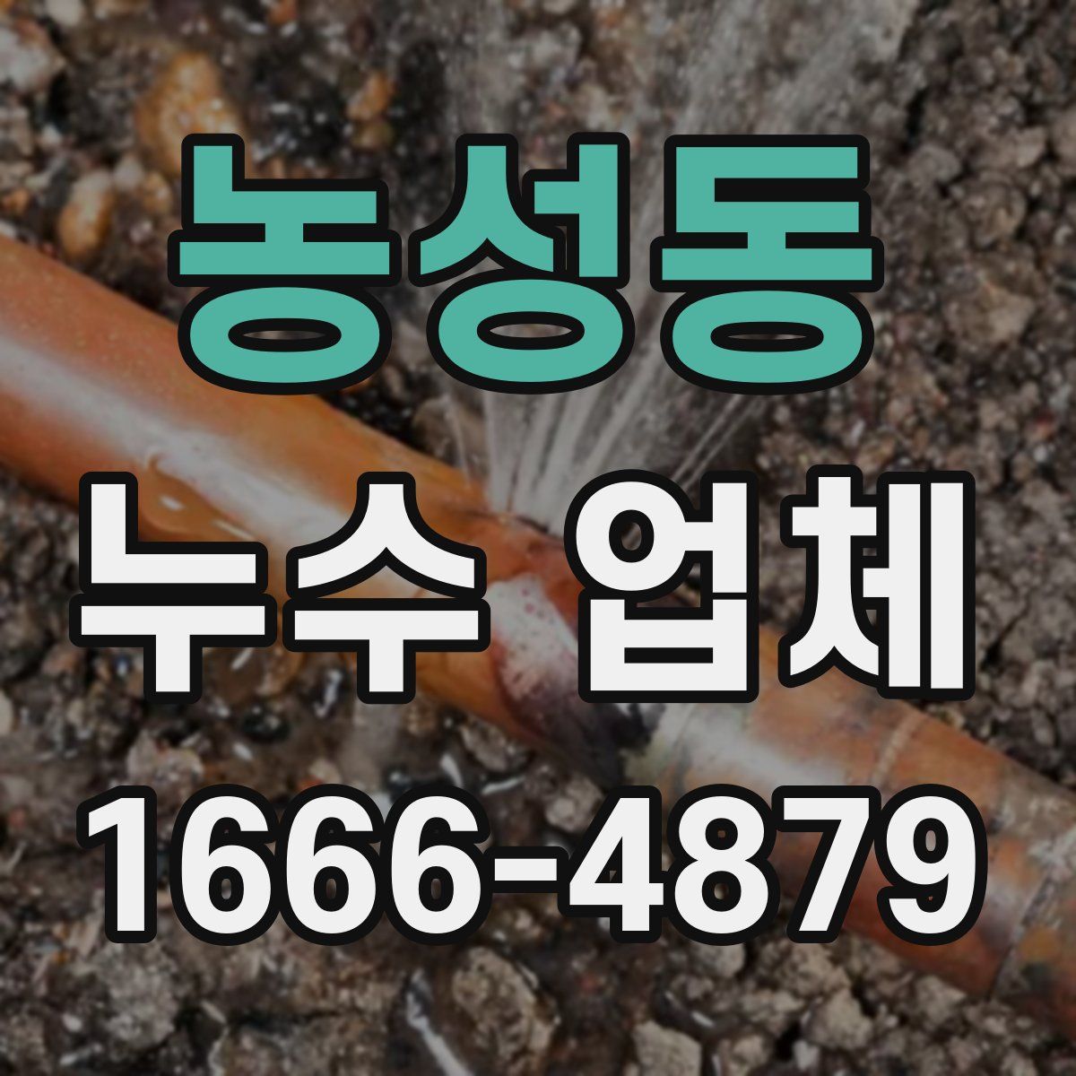 농성동 누수 업체