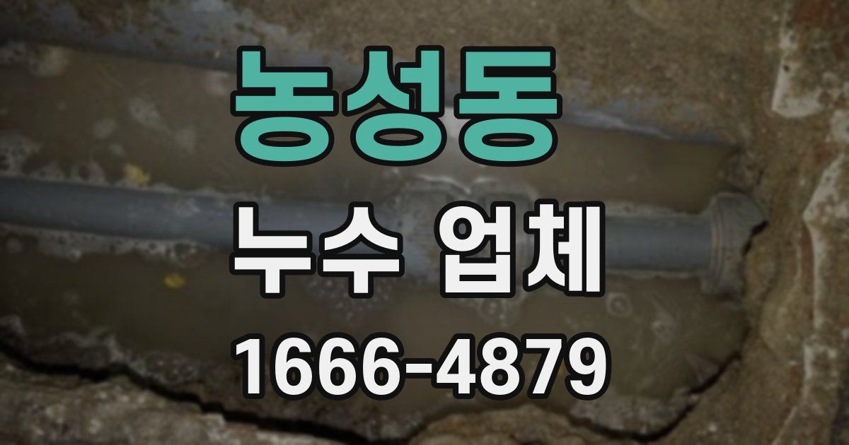 농성동 누수 업체