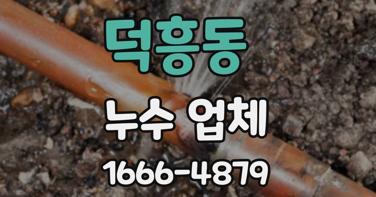 덕흥동 누수 업체