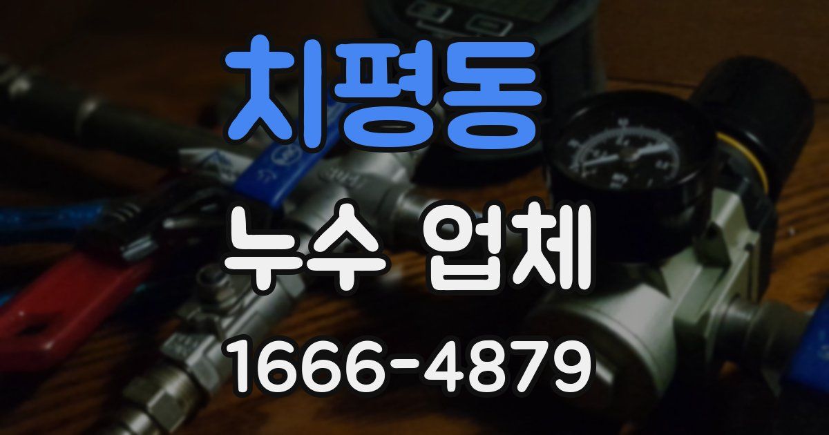 치평동 누수 업체