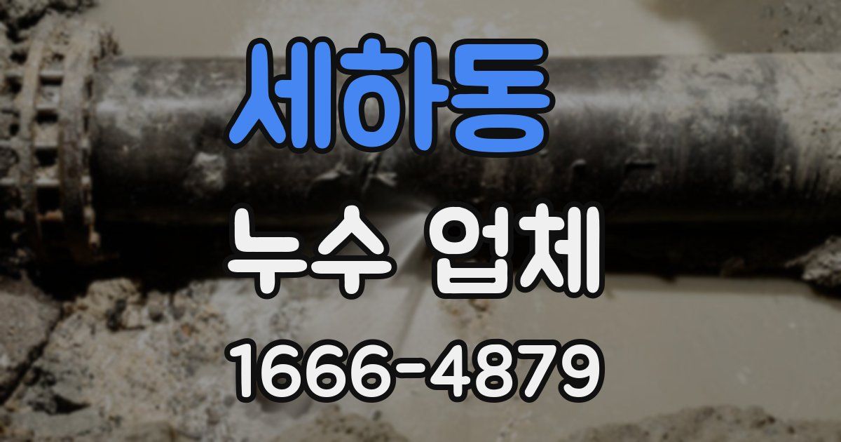 세하동 누수 업체