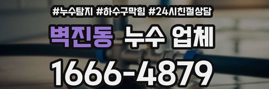 벽진동 누수 업체