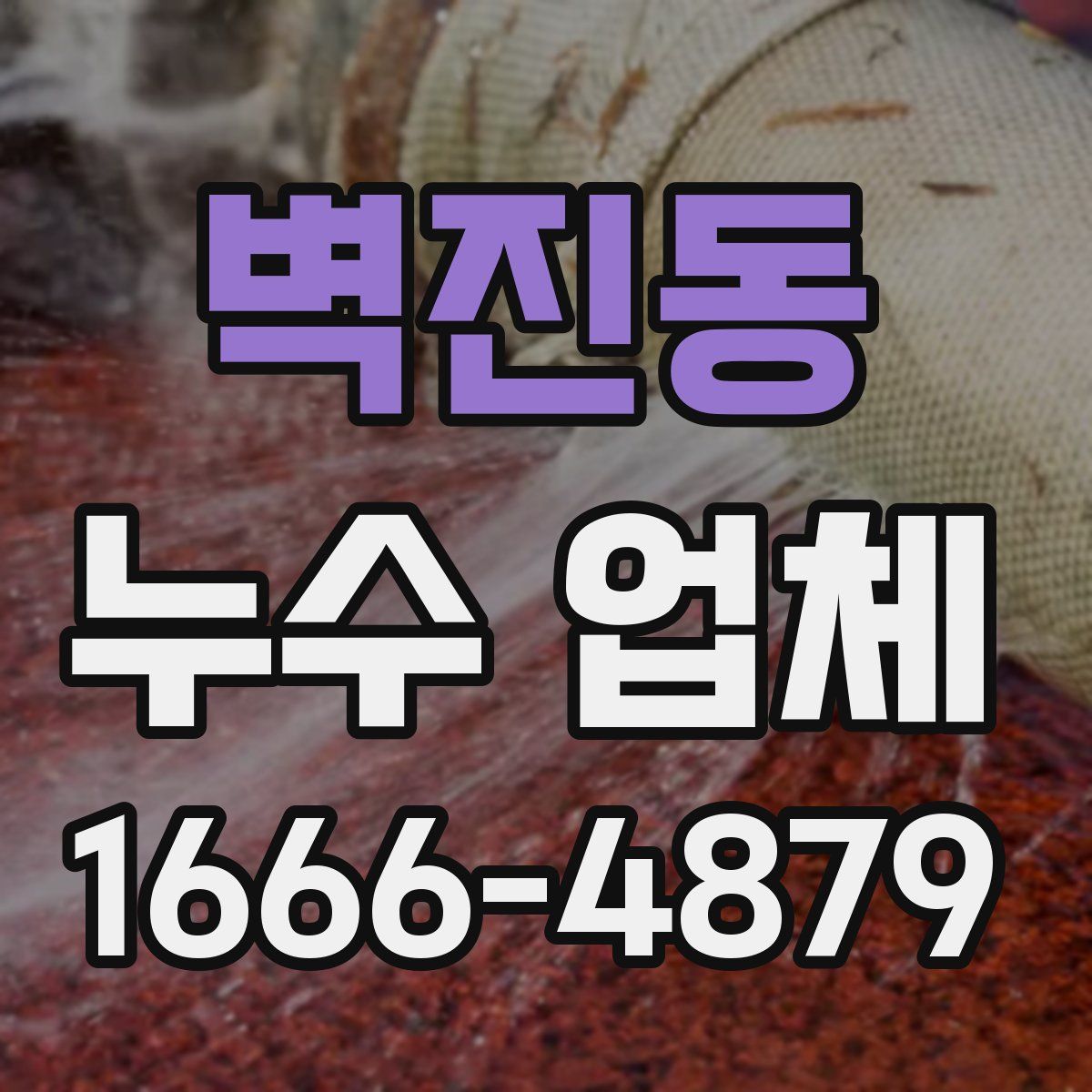 벽진동 누수 업체