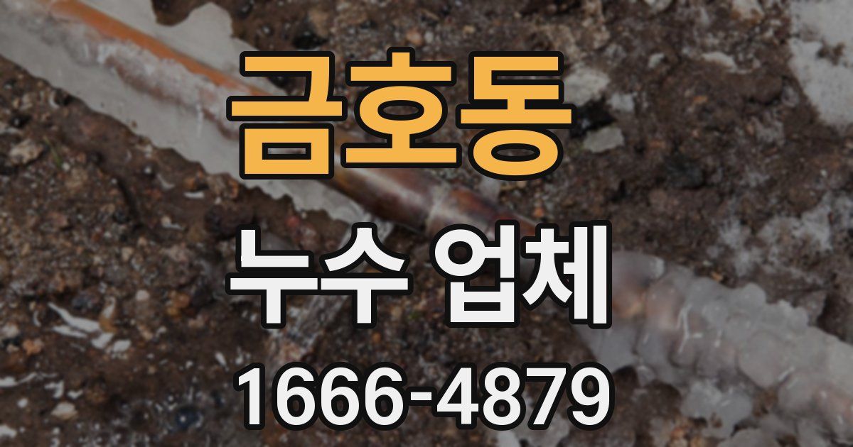 금호동 누수 업체