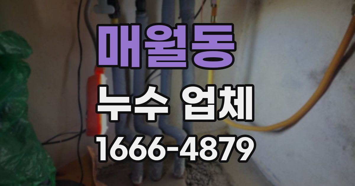 매월동 누수 업체