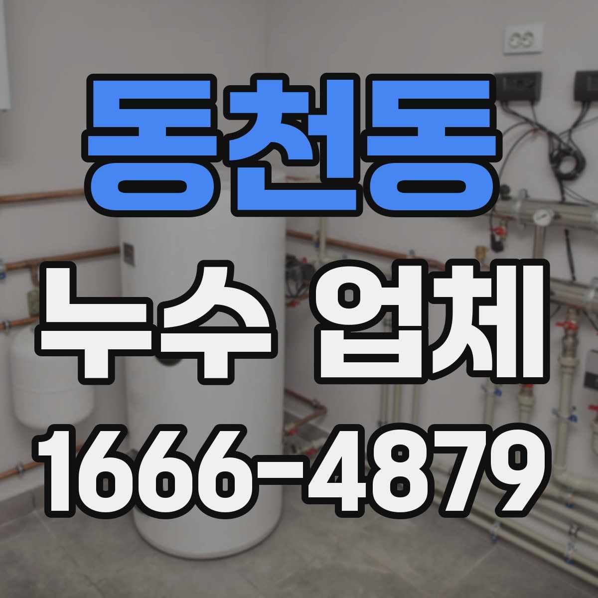 동천동 누수 업체