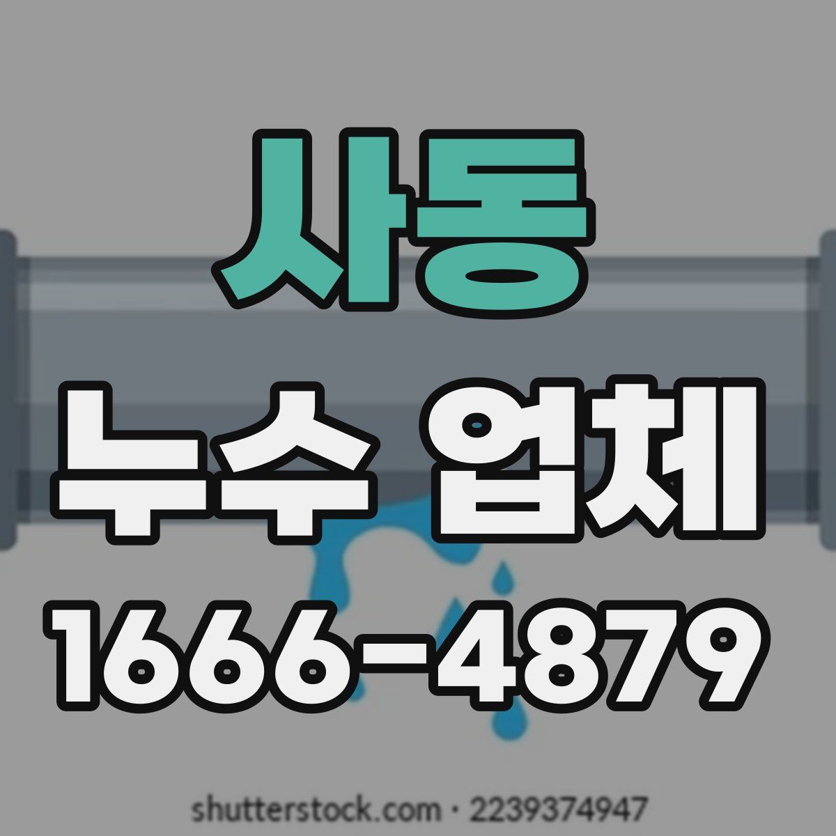 사동 누수 업체