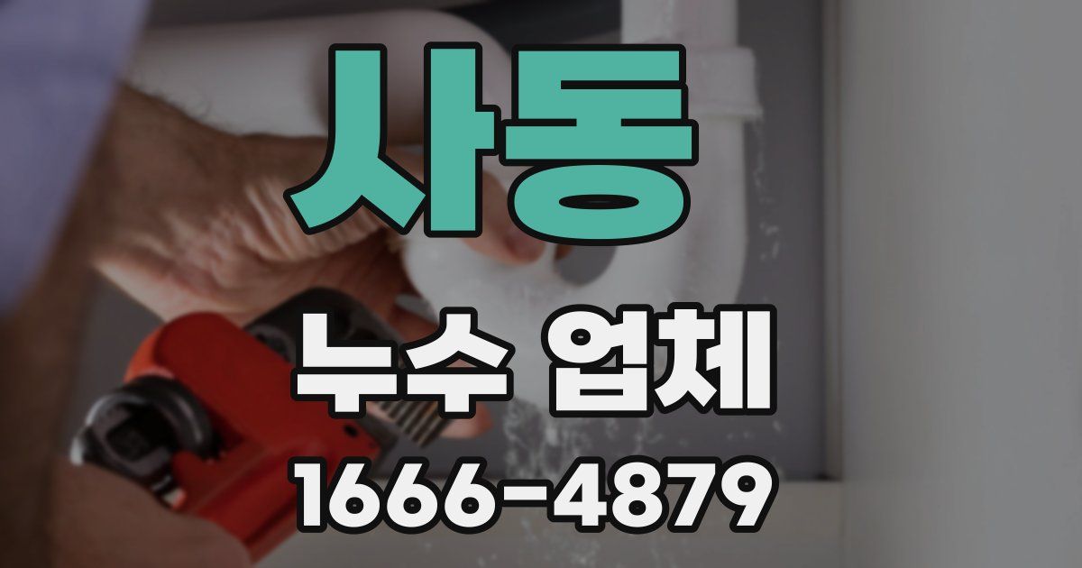 사동 누수 업체