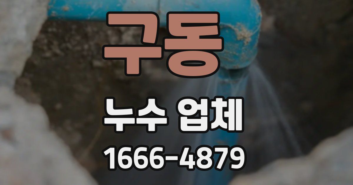 구동 누수 업체