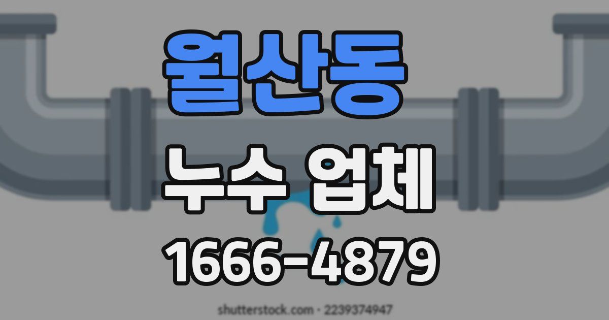 월산동 누수 업체