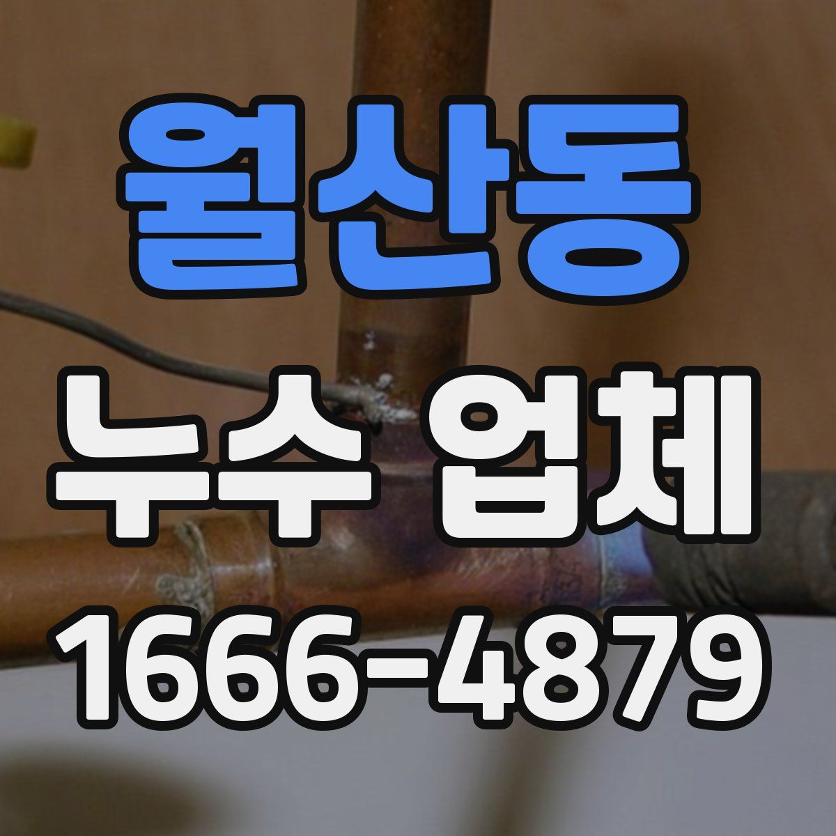 월산동 누수 업체