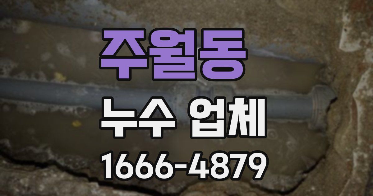 주월동 누수 업체