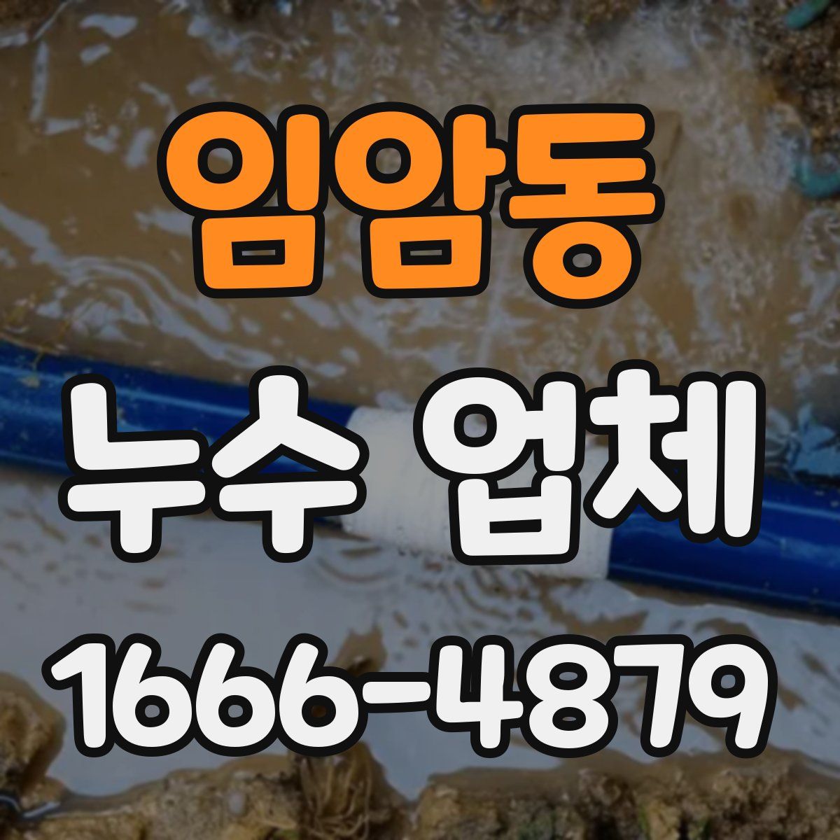 임암동 누수 업체