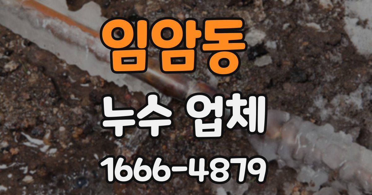 임암동 누수 업체