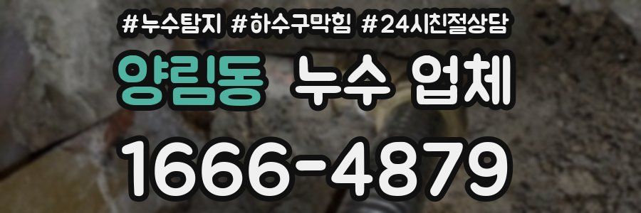 양림동 누수 업체
