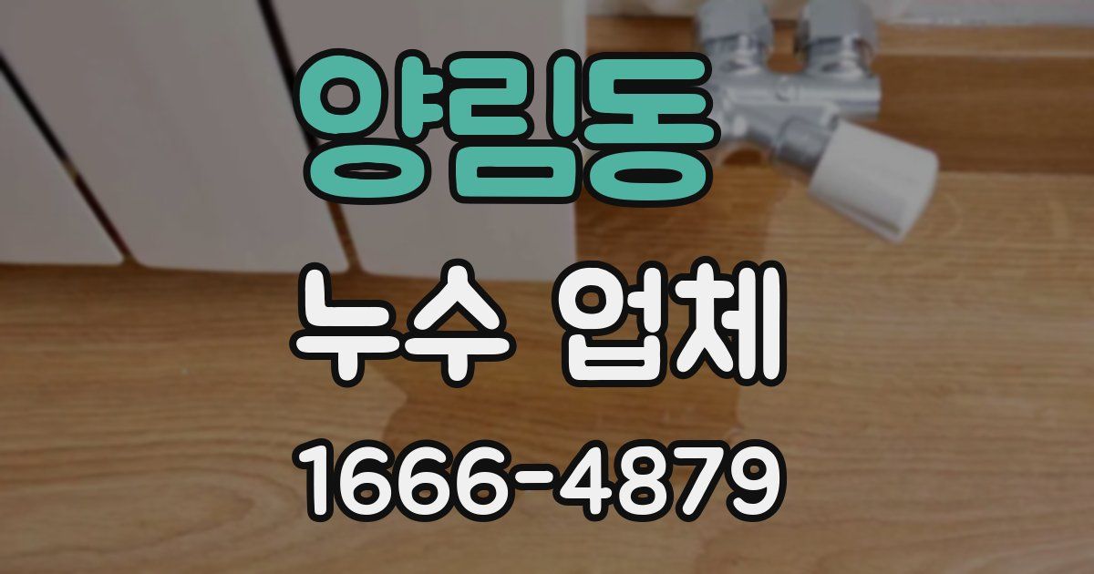 양림동 누수 업체
