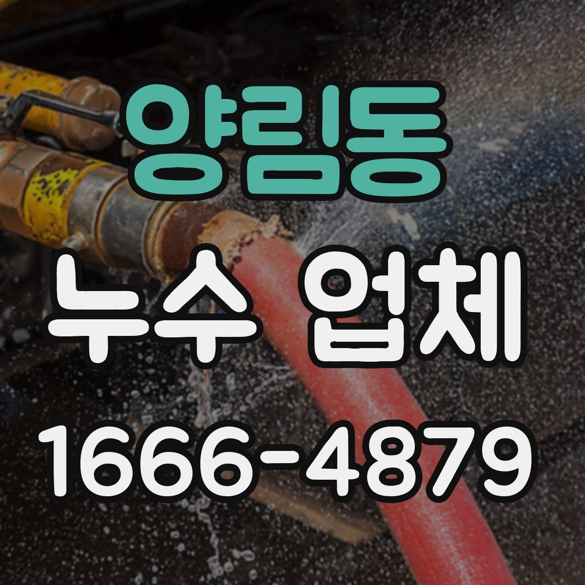 양림동 누수 업체