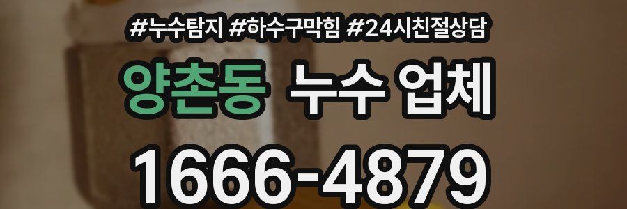 양촌동 누수 업체