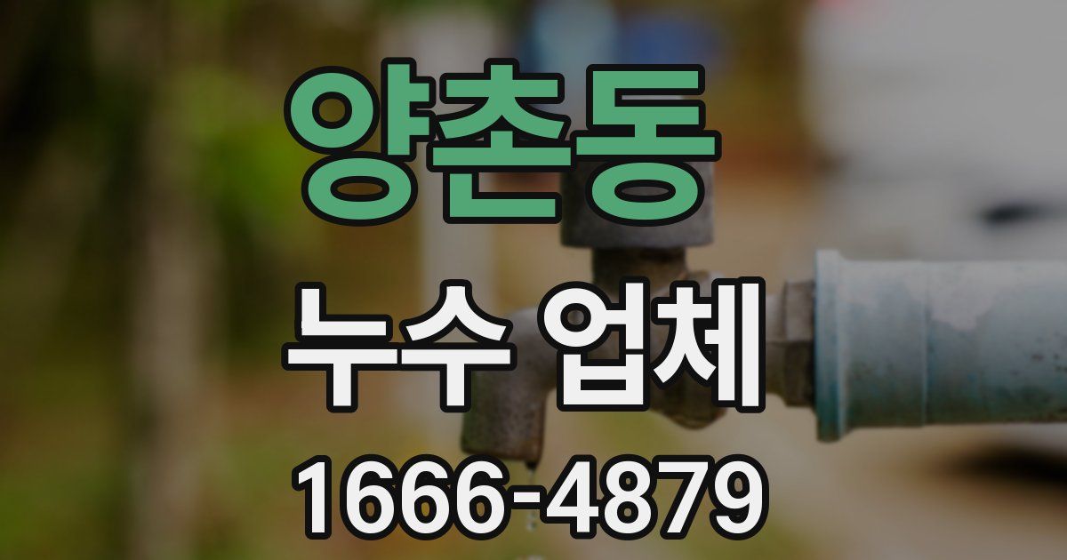 양촌동 누수 업체