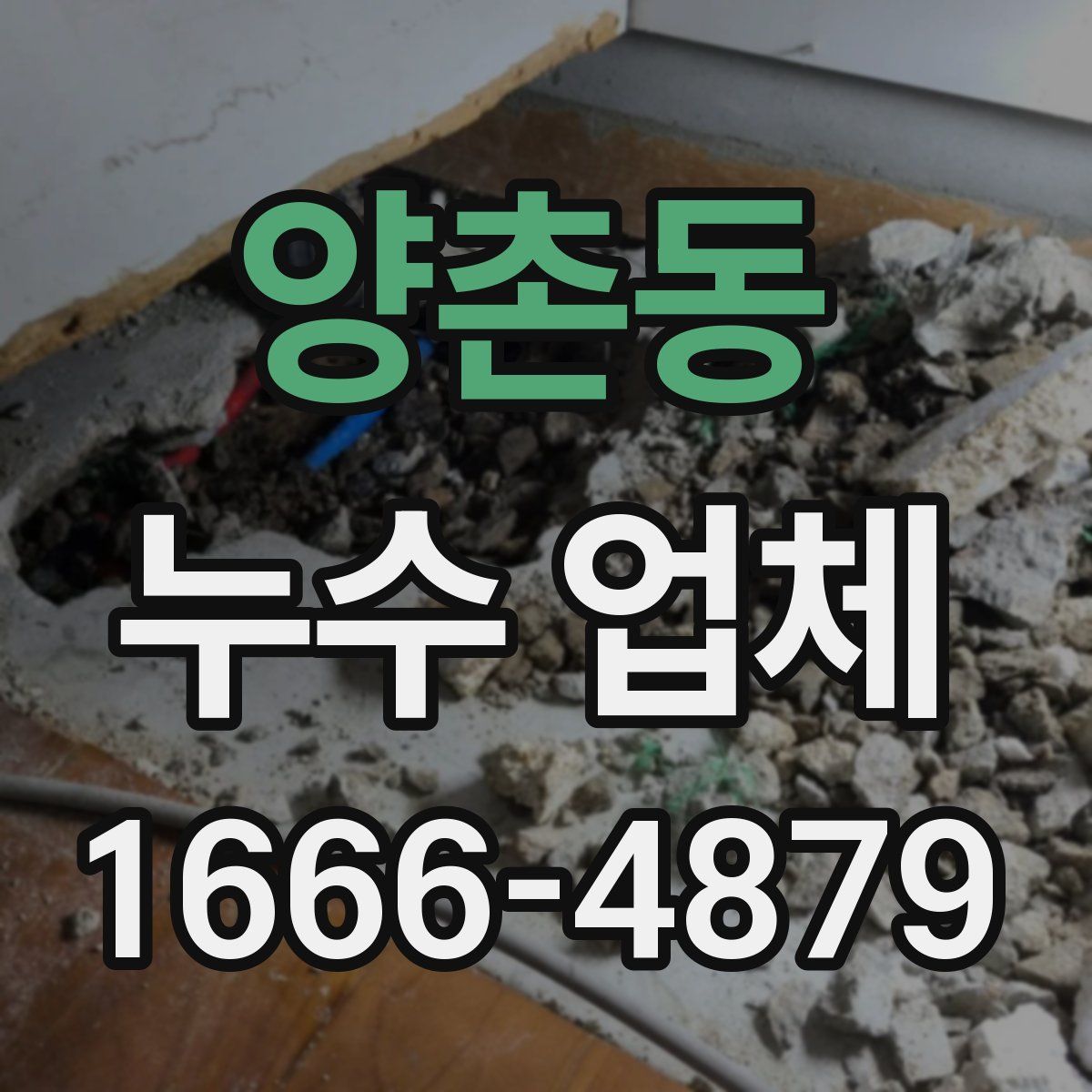 양촌동 누수 업체