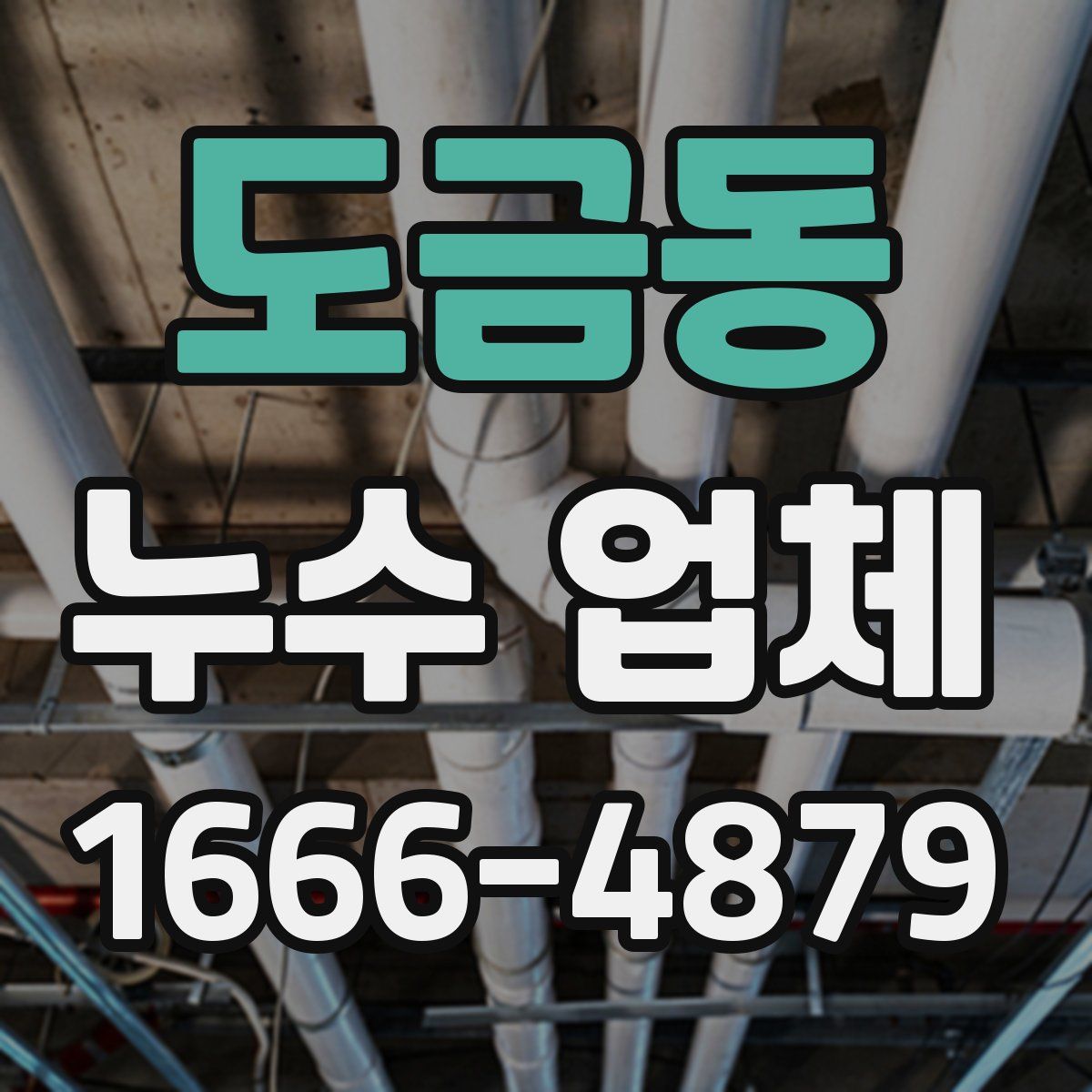 도금동 누수 업체