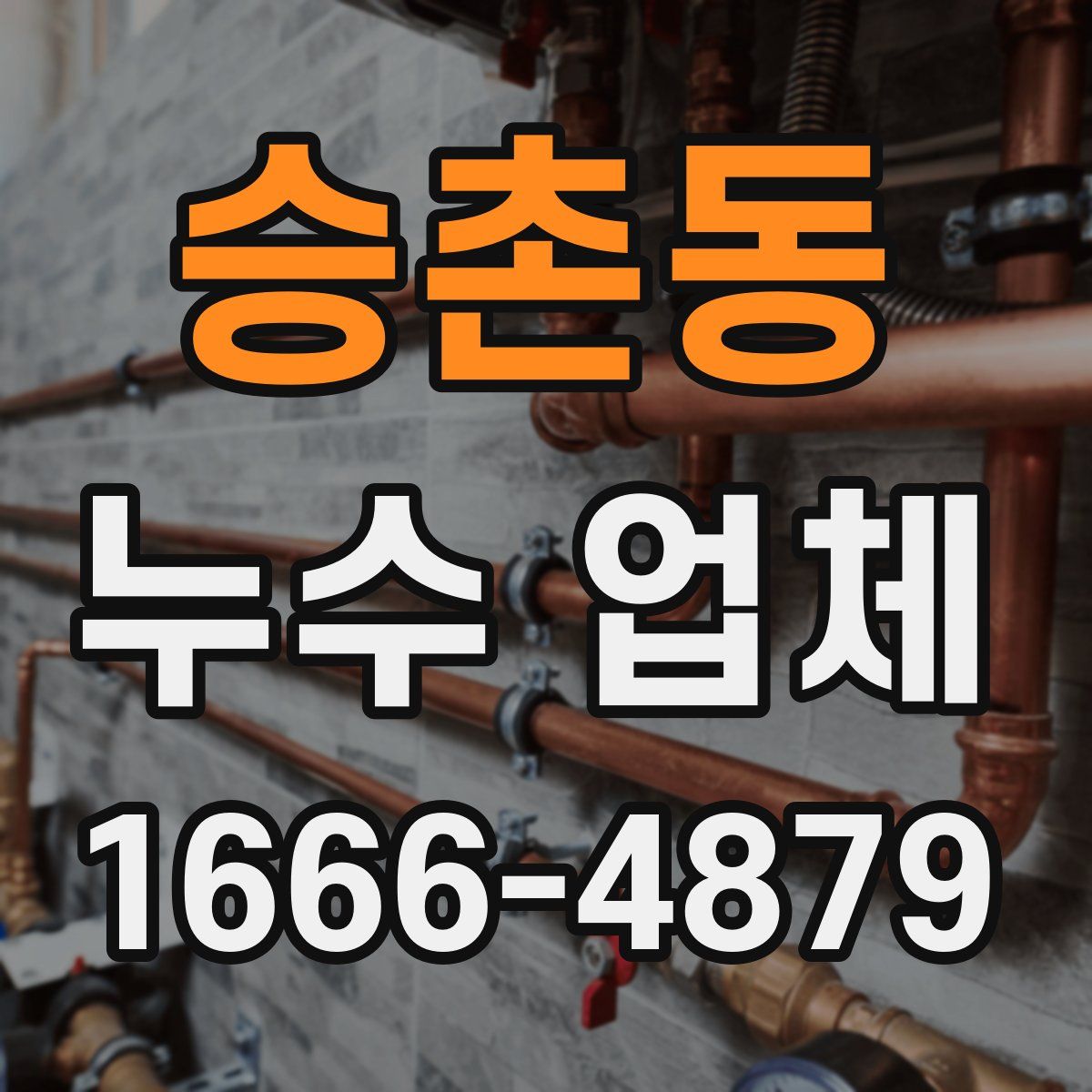 승촌동 누수 업체