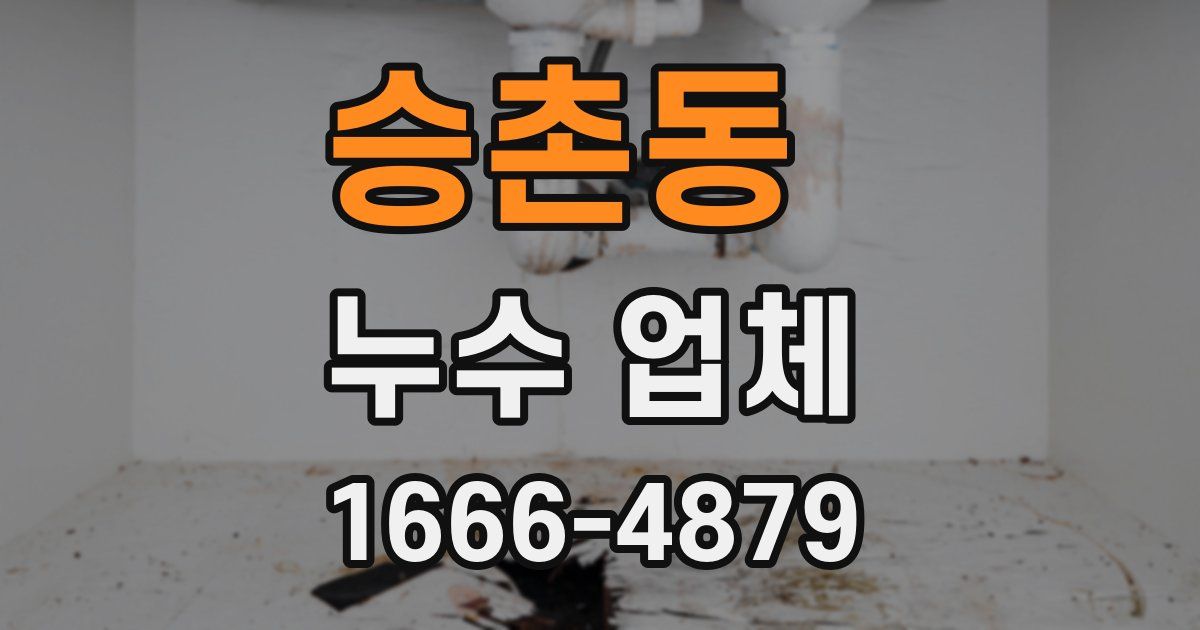 승촌동 누수 업체