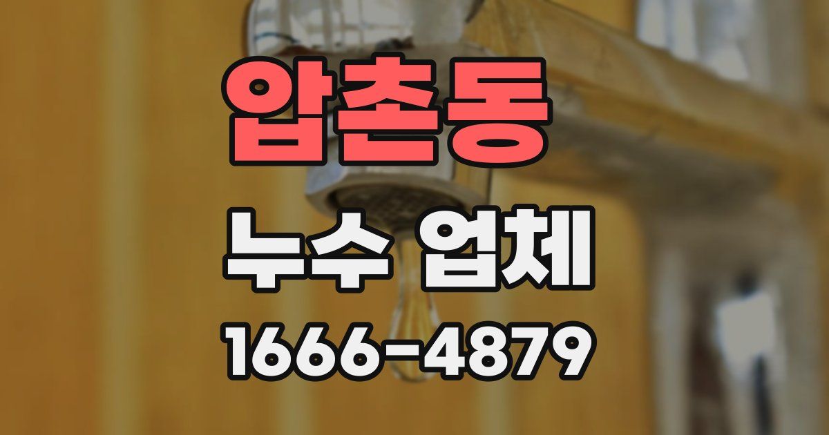 압촌동 누수 업체